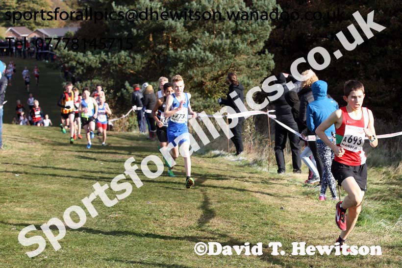 Boys under-13s, 2016 National Cross Country Relays, Berry Hill Park, Mansfield. Photo: David T. Hewitson/Sports for All Pics